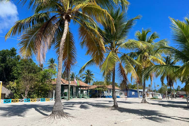 Relajaos bajo la sombra de las palmeras en un entorno virgen