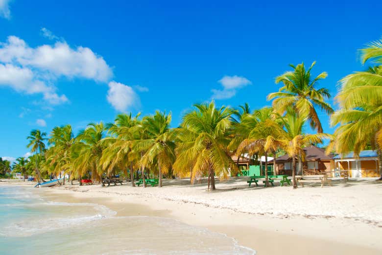Descubrid el auténtico paraíso tropical en Saona y Catalina