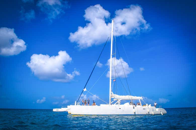 Le catamaran sur lequel vous naviguerez