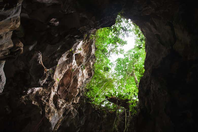 Grottes du Parc Los Haitises