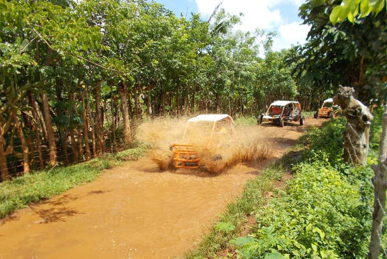 ¡A toda velocidad!