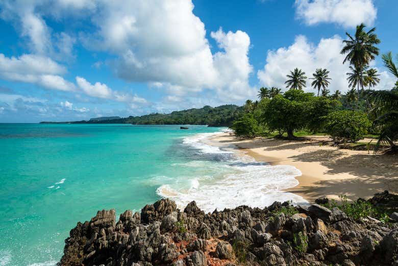 Profitez d'une journée à la plage