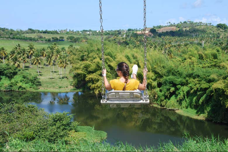Panoramic swings at Eco Park