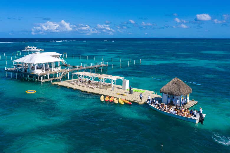 Check out the Reef Explorer Platform