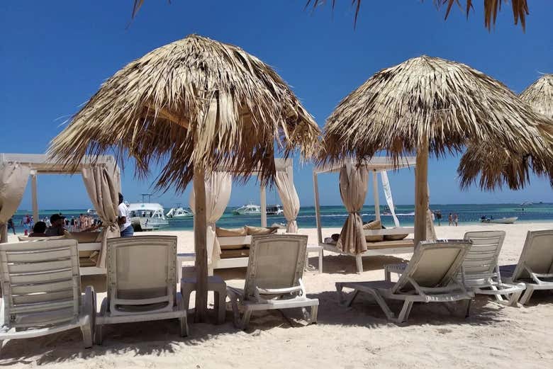 Tumbonas en el club de playa