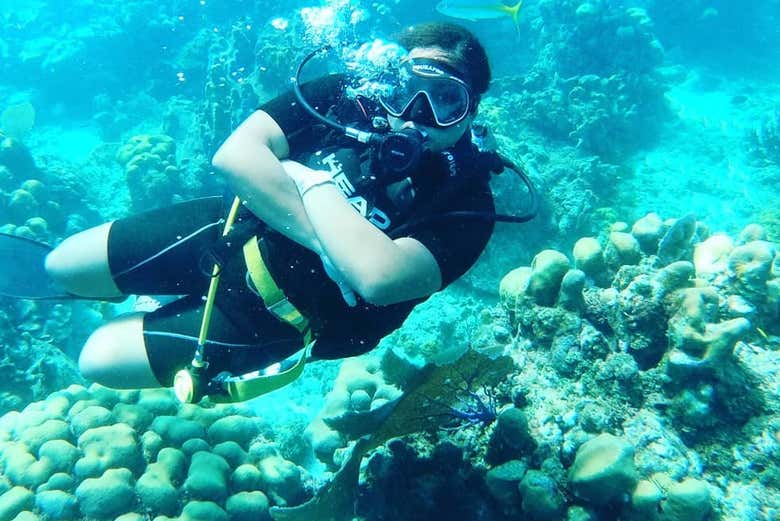 Áreas coralinas de Isla Catalina