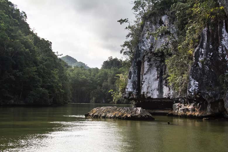 Naviguez parmi les mangroves