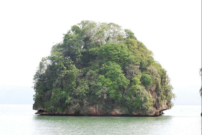 Mogote del Parque Nacional Los Haitises