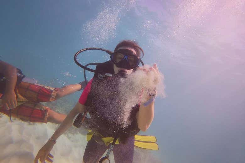 Nadando en Isla Catalina