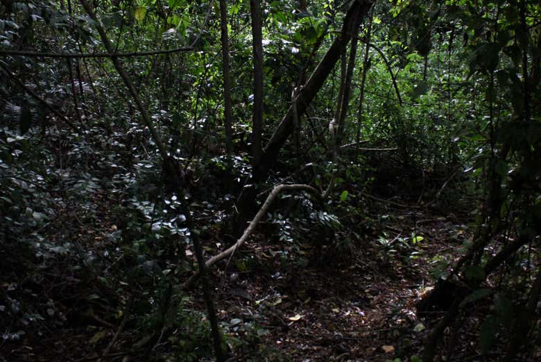 The natural landscape will captivate you