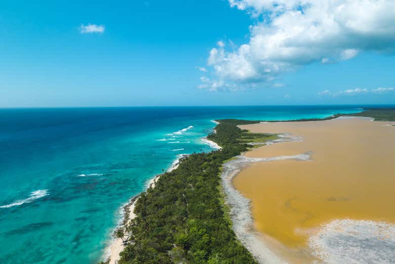 Descubriréis la exuberante vegetación y las playas de Saona