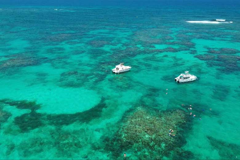 Explore Punta Cana's marine life