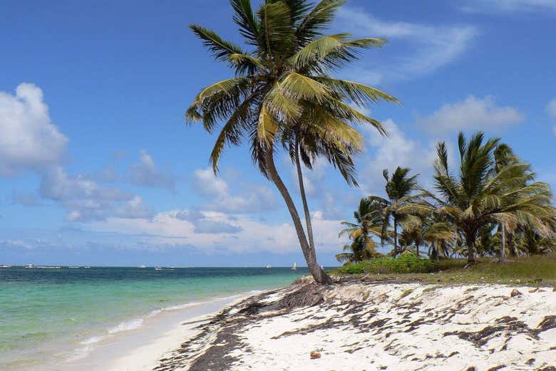 Zona costera de Punta Cana