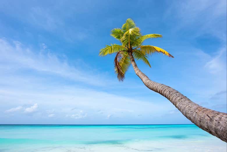 Desfrutando da ilha Saona