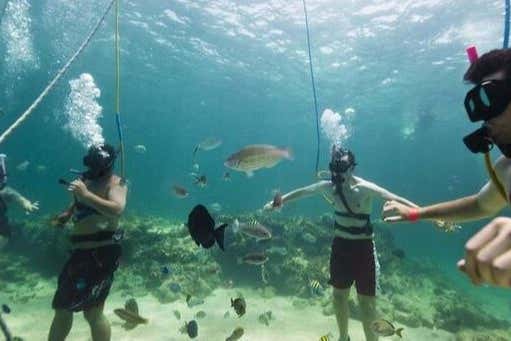 Checking out the local marine life