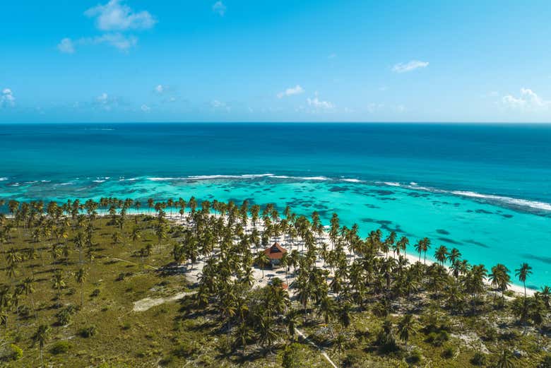 Panorámica del mar turquesa y la vegetación de la isla Saona