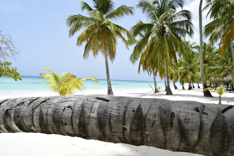 Paysage paradisiaque de l'île de Saona