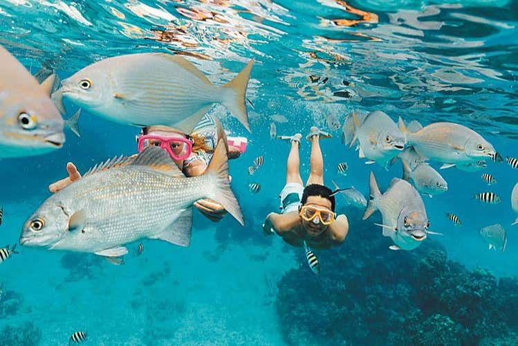 Praticando snorkel nas costas dominicanas