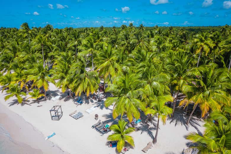 A Ilha Saona é um paraíso na República Dominicana