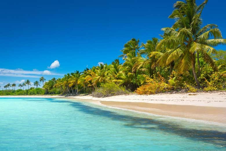 Praia da Ilha Saona