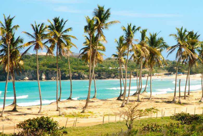 Rest after a busy day of shopping