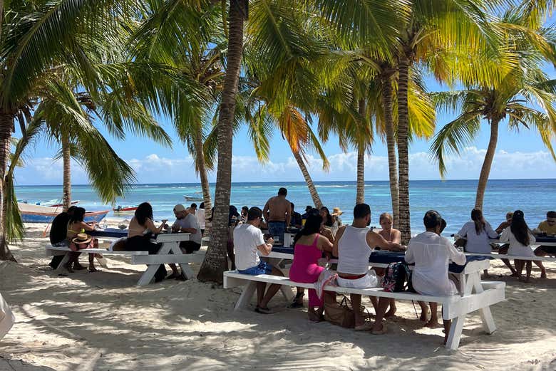 Disfrutando del almuerzo bajo las palmeras de la isla Saona