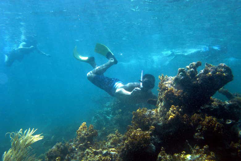 Snorkelling in Punta Cana
