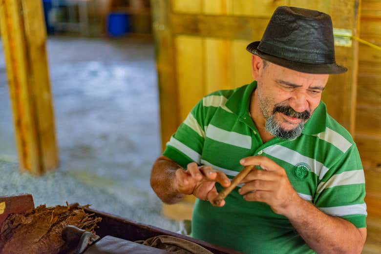 Aprendendo como o tabaco é feito