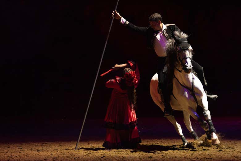 Disfrutad de la elegancia y destreza de los jinetes en pista