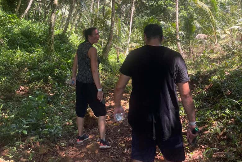 A natureza do Parque Los Haitises