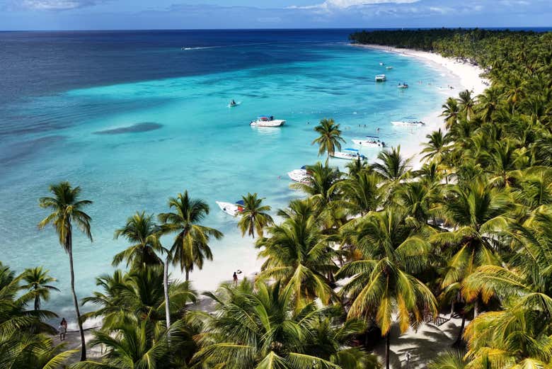 Vegetação da ilha Saona