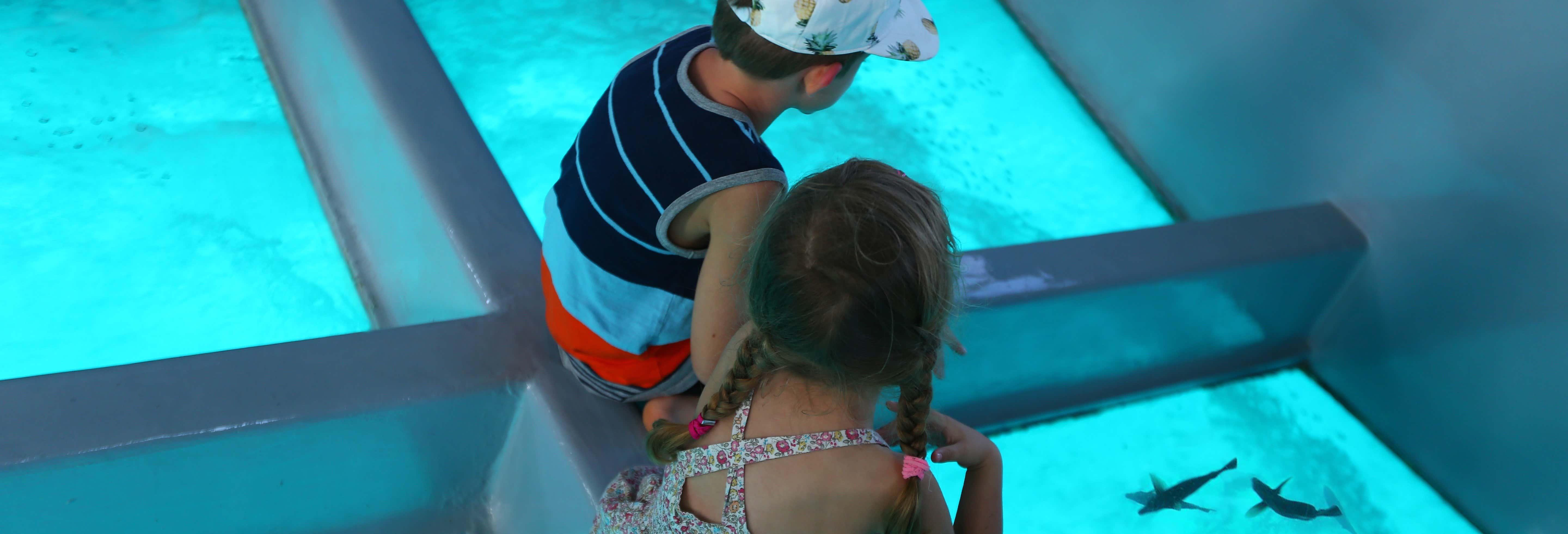 Giri in barca a Punta Cana