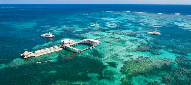 Paseo en barco y snorkel en Marinarium