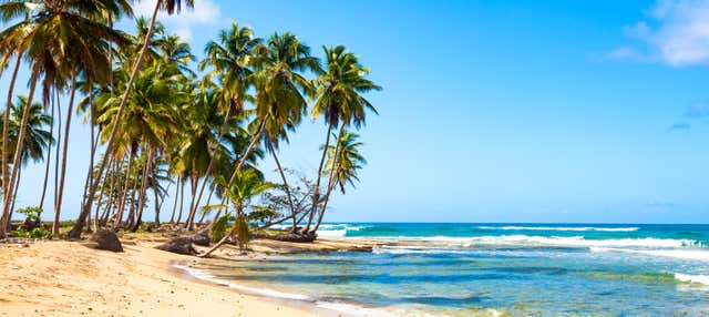 Passeio a cavalo pela praia Uvero Alto