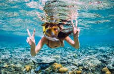 Snorkeling e hookah diving a Punta Cana