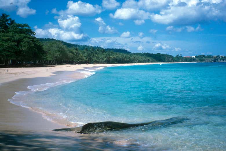 Paradise beach of Playa Grande