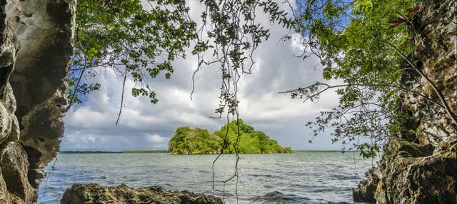 Balade en bateau dans le parc national de Los Haitises + Accès aux piscines de Altos de Caño Hondo