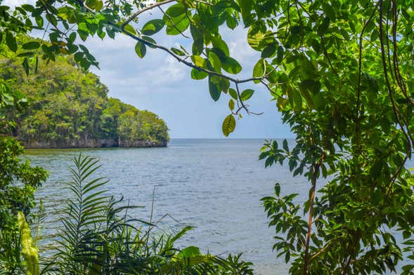 Excursión al Parque Nacional Los Haitises y Cayo Levantado