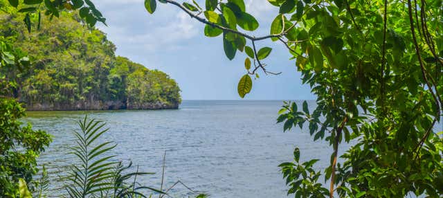 Excursion au Parc National Los Haitises et à Cayo Levantado