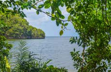 Excursão ao Parque Nacional Los Haitises e Cayo Levantado