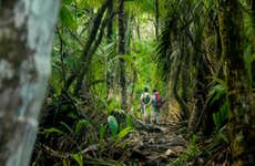 Free tour por el Parque Nacional Los Haitises