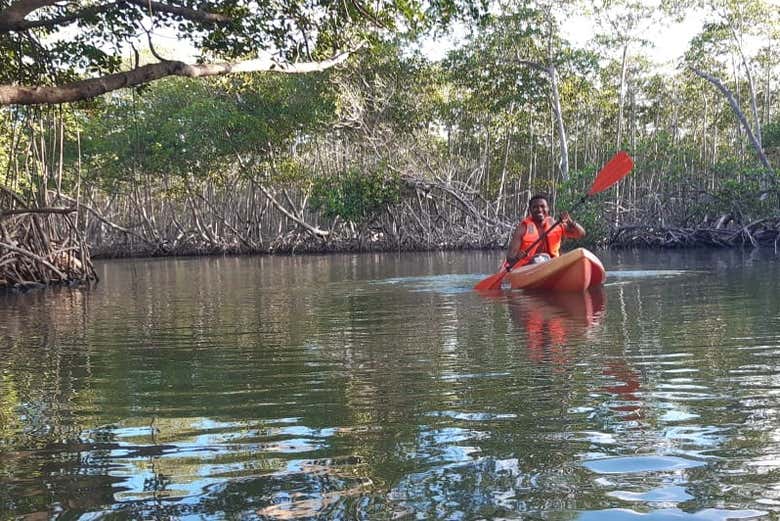 Le mangrovie della zona