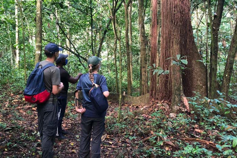 Trekking a Los Haitises