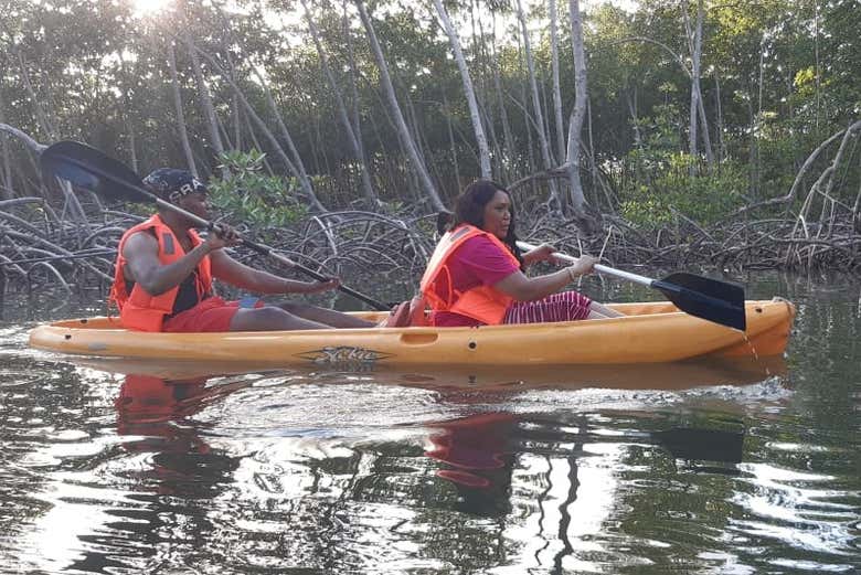 Traversata fra le mangrovie