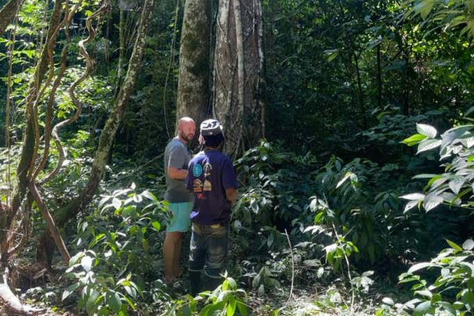 Circondati dalla foresta pluviale tropicale