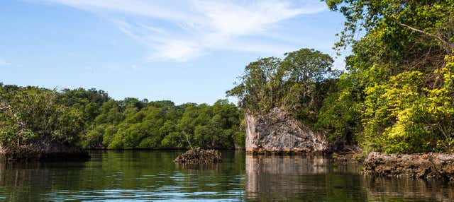 Excursión al Parque Nacional Los Haitises