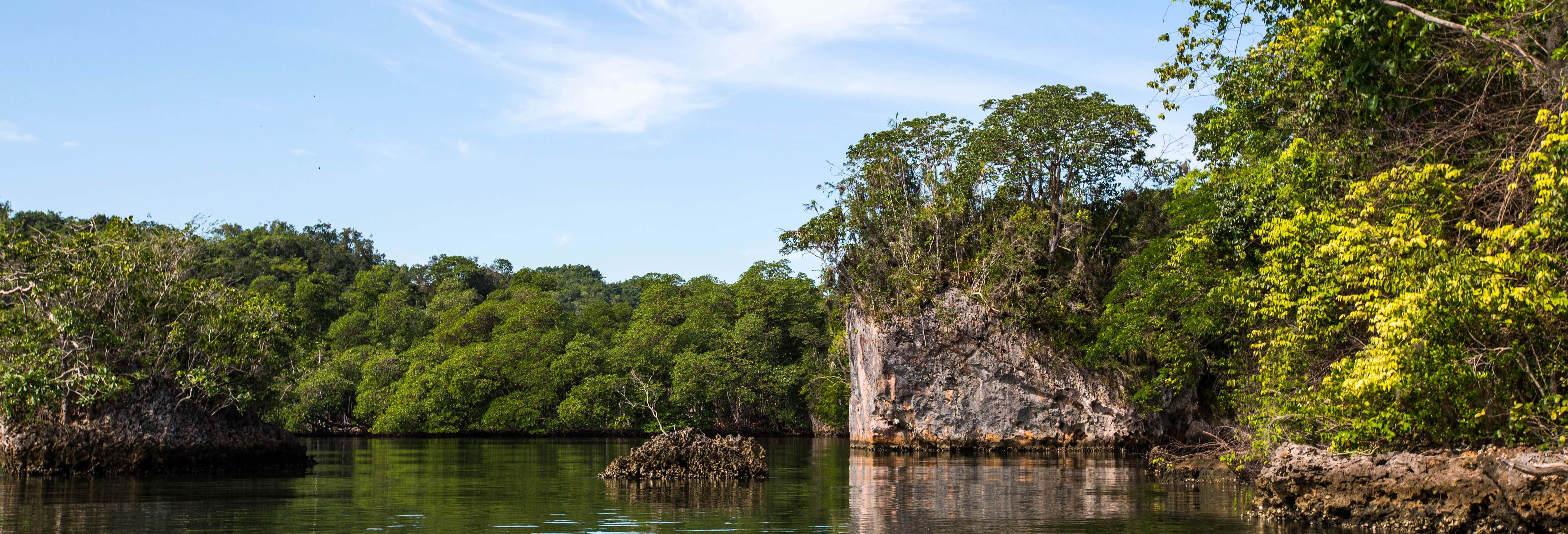 Excursiones de un día en Samaná