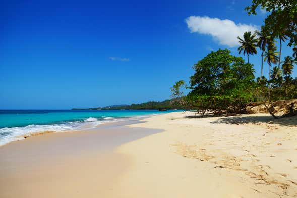 Excursión a Playa Rincón