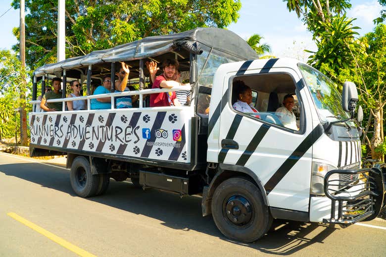 Os desplazaréis a bordo de un camión safari