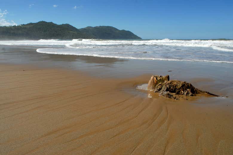 Discover the beaches in Samana